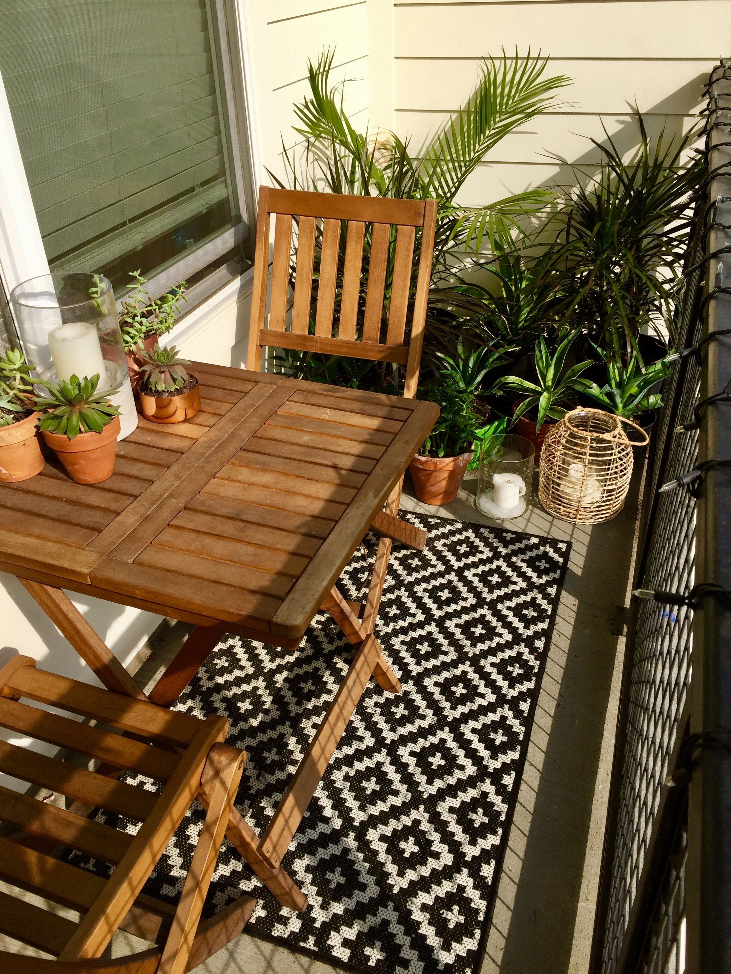 Succulents, Tropical Plants, Small Balcony Decor Ideas (View 7 of 20)