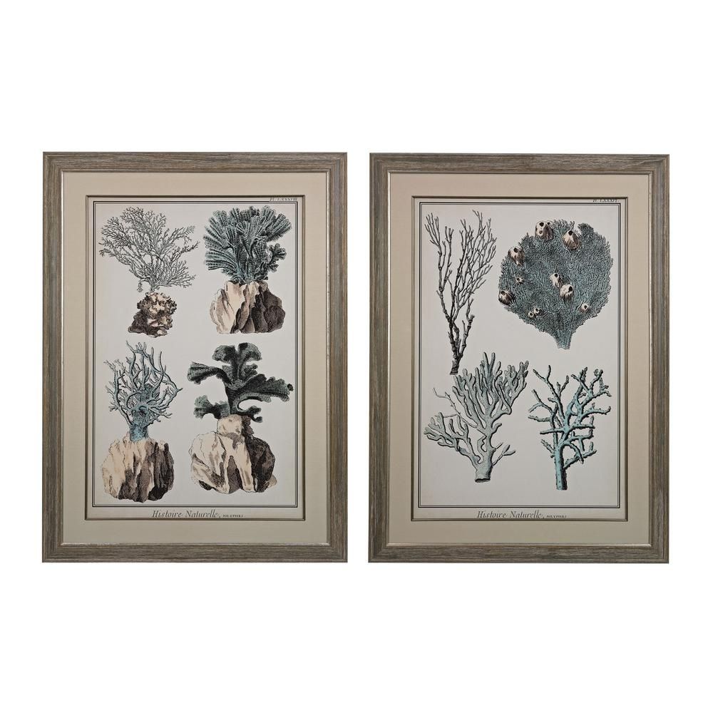Titan Lighting 45 In. X 33 In. "oversized Coral Species" Framed Within Set Of 2 Framed Wall Art (Photo 19 of 20)