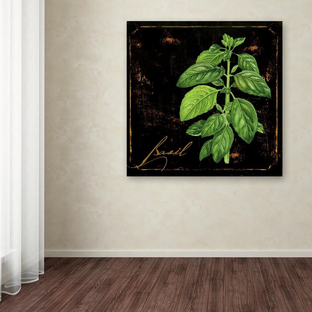 Trademark Fine Art 35 In. X 35 In. "black Gold Herbs Iv"color Pertaining To Black And Gold Wall Art (Photo 16 of 20)