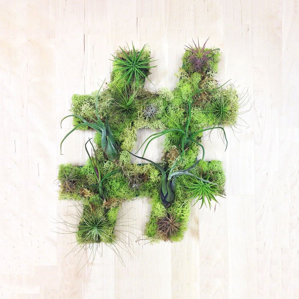 Unique Living Wall Plant Decor From Art We Heart – Design Milk With Living Wall Art (View 5 of 20)
