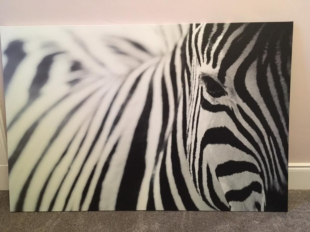 Zebra Canvas Wall Art | In Newtongrange, Midlothian | Gumtree Inside Zebra Canvas Wall Art (View 2 of 20)