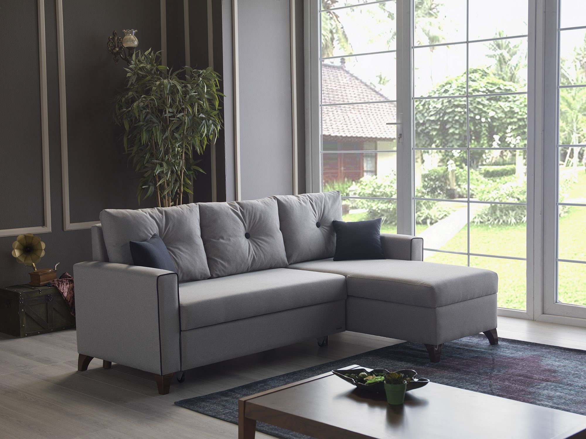 Sealy Sectional Sofa Bed | Baci Living Room Inside Lucy Dark Grey 2 Piece Sectionals With Raf Chaise (View 27 of 30)