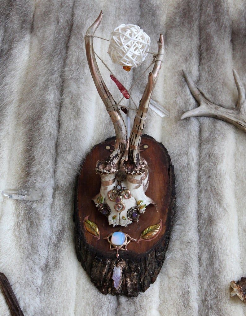Celtic/pagan Wall Decoration  Celtic Wall Decor  Hart Skull Mounted On  Wooden Trunk Slice  Gemstones  Curiosity Inside Atlantis Faux Taxidermy Wall Decor (View 23 of 30)