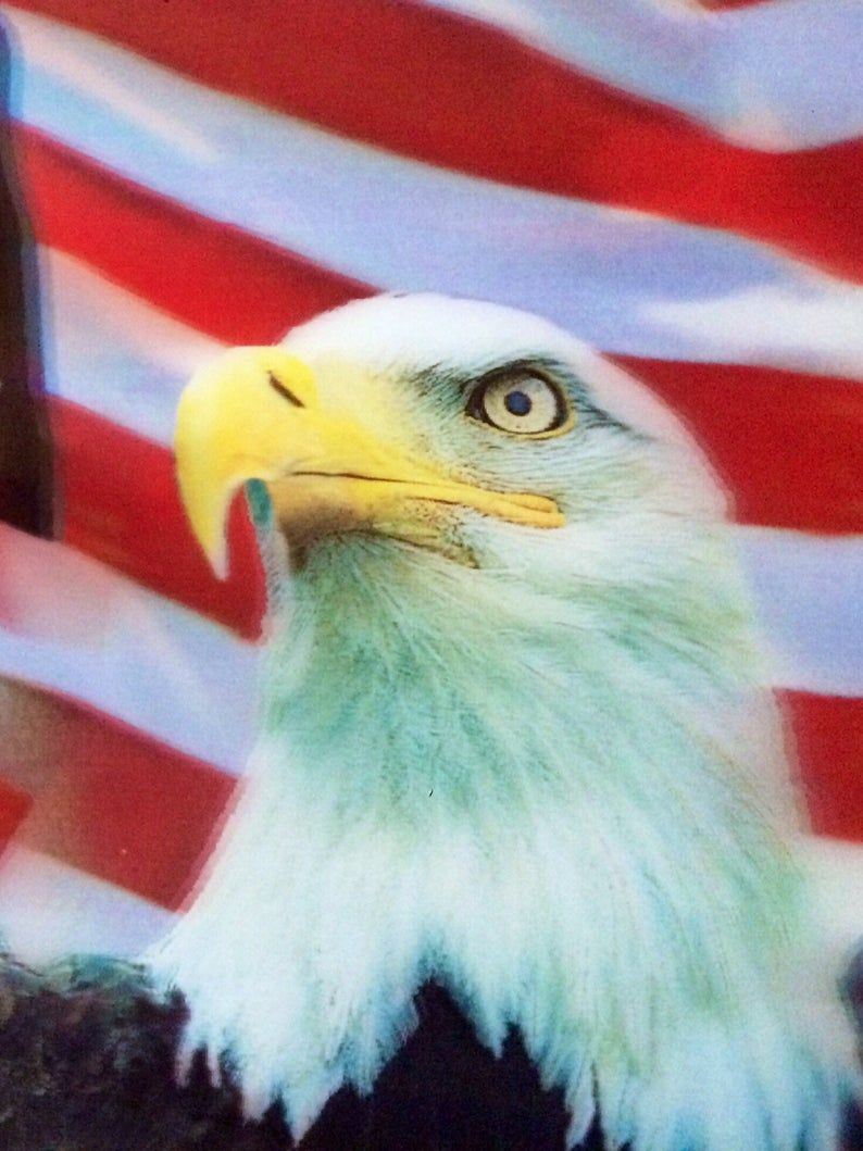 Eagle, Anerican Eagle, American Flag, Us Flag, 3d, 3d Picture, Framed, Home  Decor, Wall Decor, Wall Art, Gift Inside American Flag 3d Wall Decor (View 25 of 30)