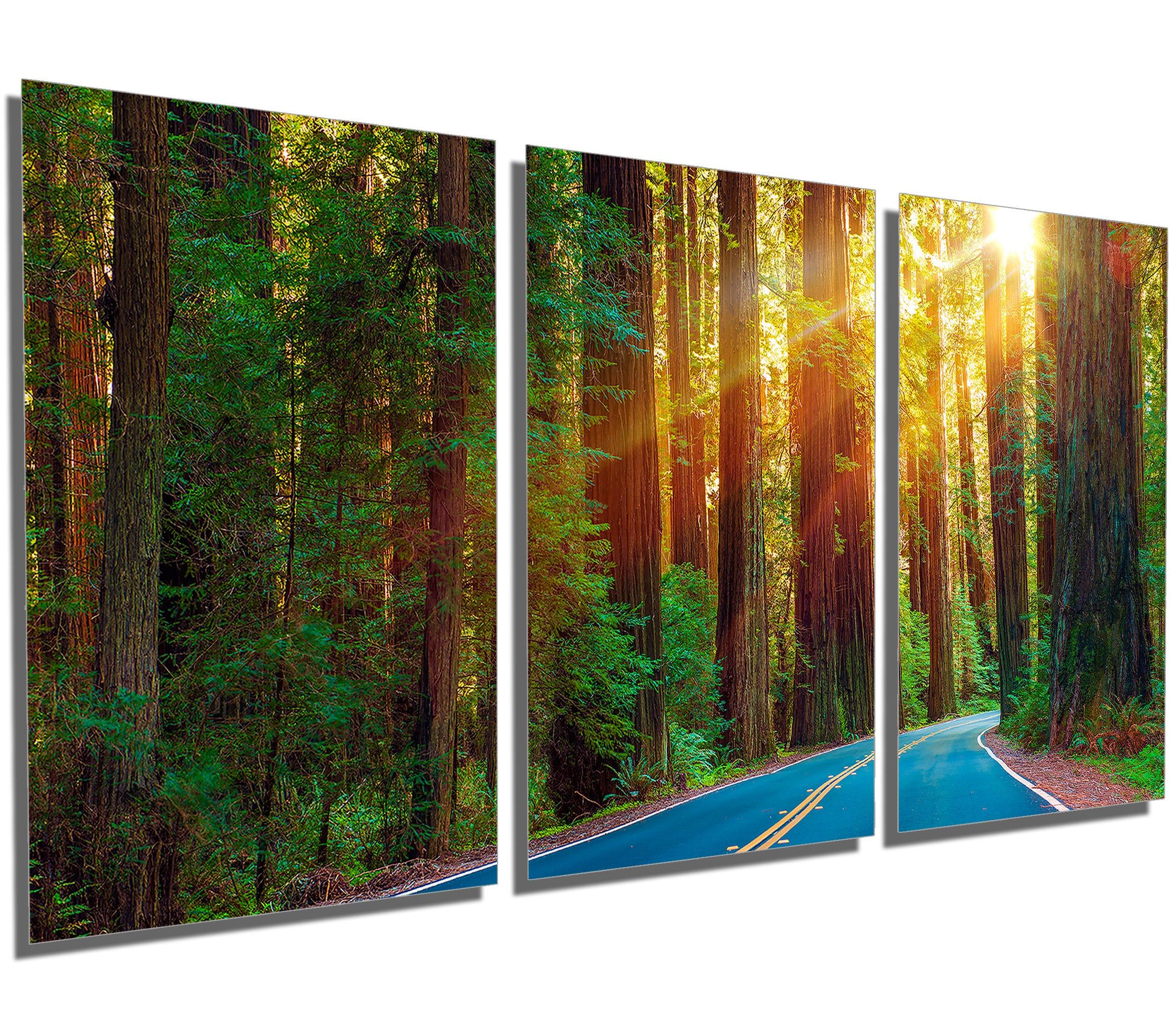 Metal Print – Redwood Forest Highway – 3 Panel Split (triptych) – Metal  Wall Art On Hd Aluminum Prints For Wall Decor & Interior Design. For Nature Metal Sun Wall Decor (Photo 25 of 30)