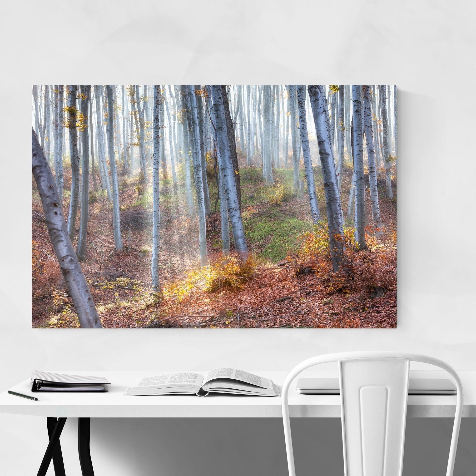 Noir Gallery 'between Fog And Sun'evgini Dinev Bulgaria Forest  Landscape Nature Metal Wall Art Print With Regard To Nature Metal Sun Wall Decor (View 13 of 30)