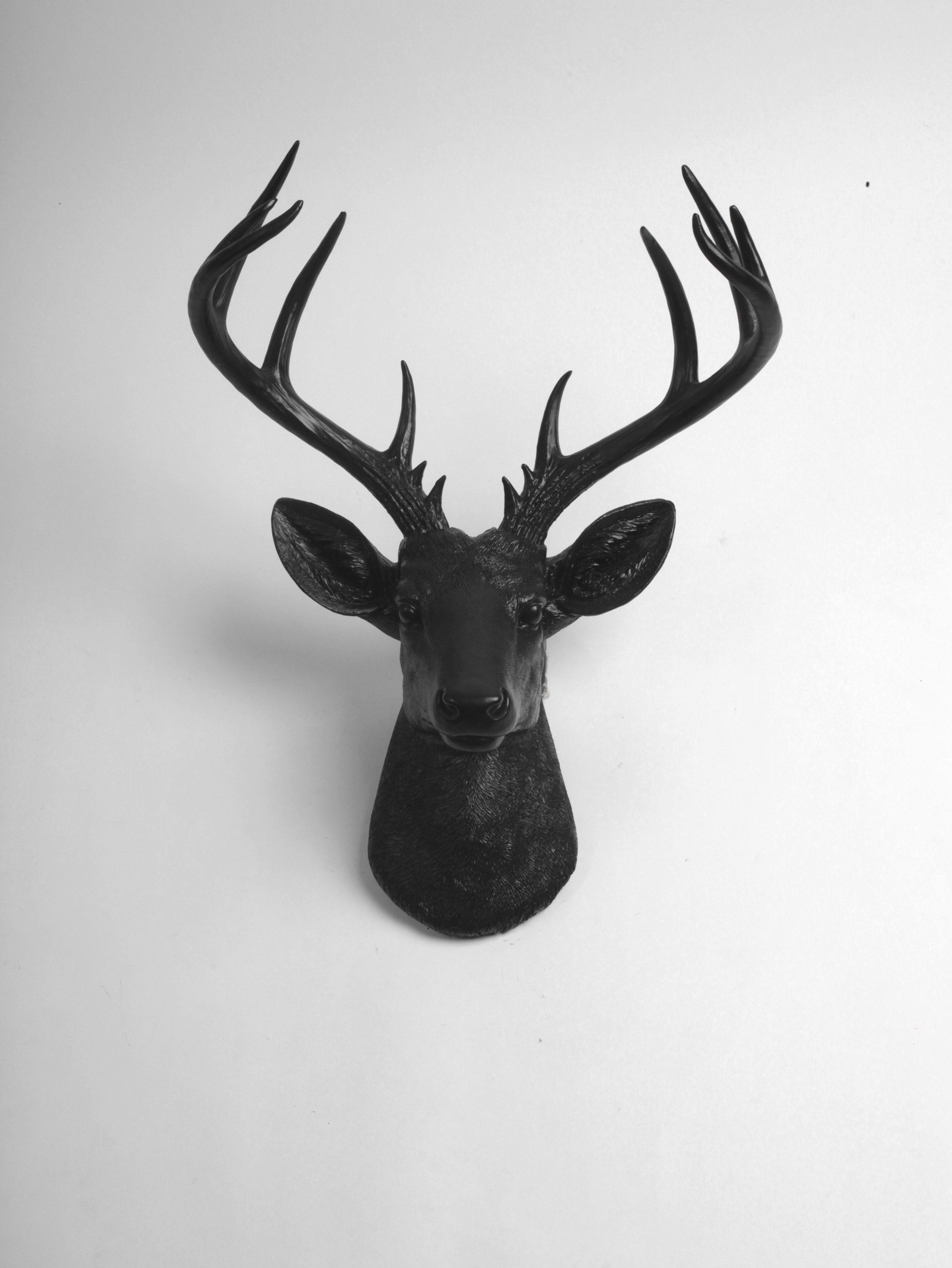 The Xl Ignatius, Stag Deer Head Wall Mount, Black Resin | My Throughout Large Deer Head Faux Taxidermy Wall Decor (View 9 of 30)