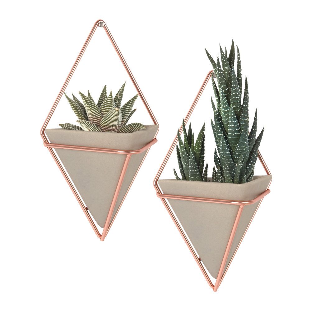 Trigg Small Copper Wall Planters – Set Of 2 Within Trigg Ceramic Planter Wall Decor (Photo 30 of 30)