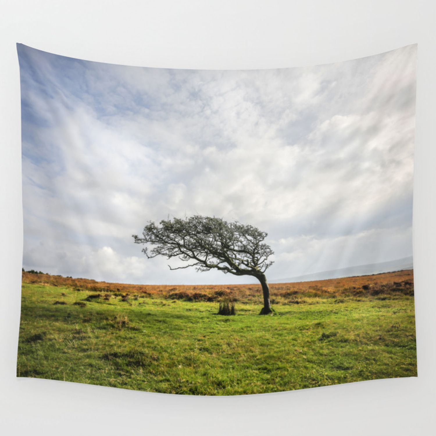 Windswept Tree Wall Tapestry With Regard To Windswept Tree Wall Decor (View 27 of 30)