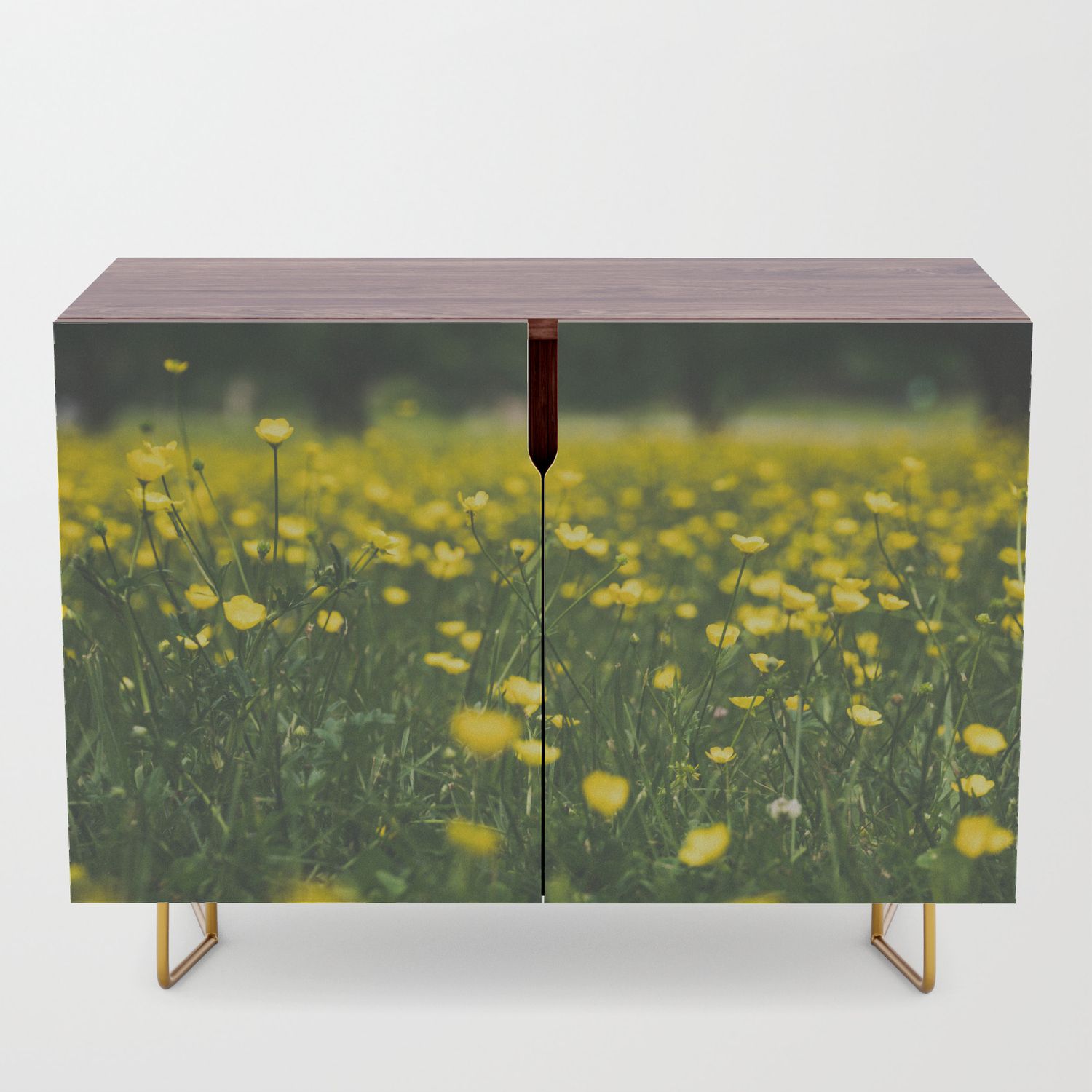 Build Me Up Buttercup Credenza Throughout Yellow Flora Credenzas (View 10 of 30)