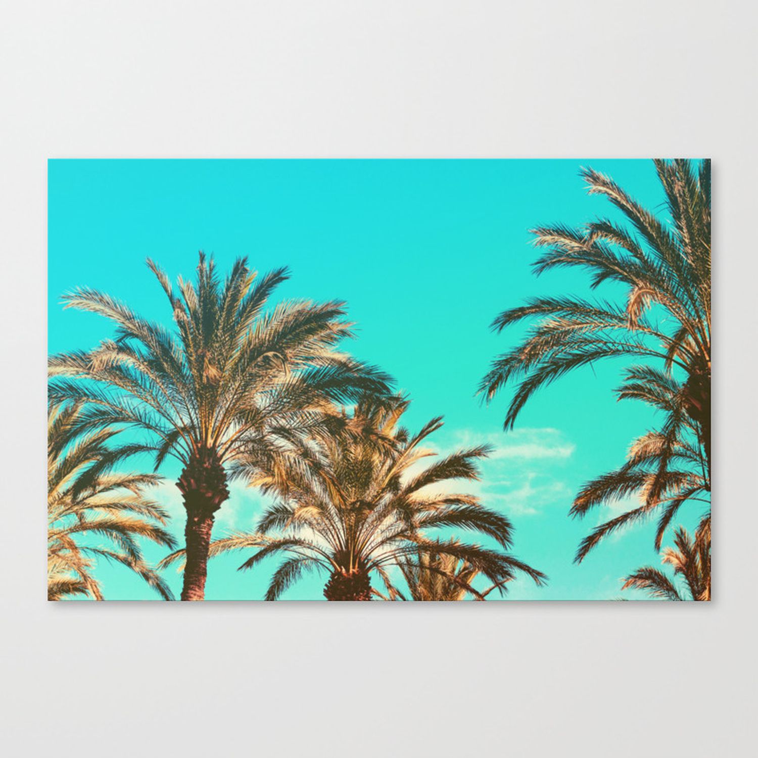 Tropical Palm Trees – Vintage Turquoise Sky Canvas Print Regarding Turquoise Skies Credenzas (Photo 28 of 30)