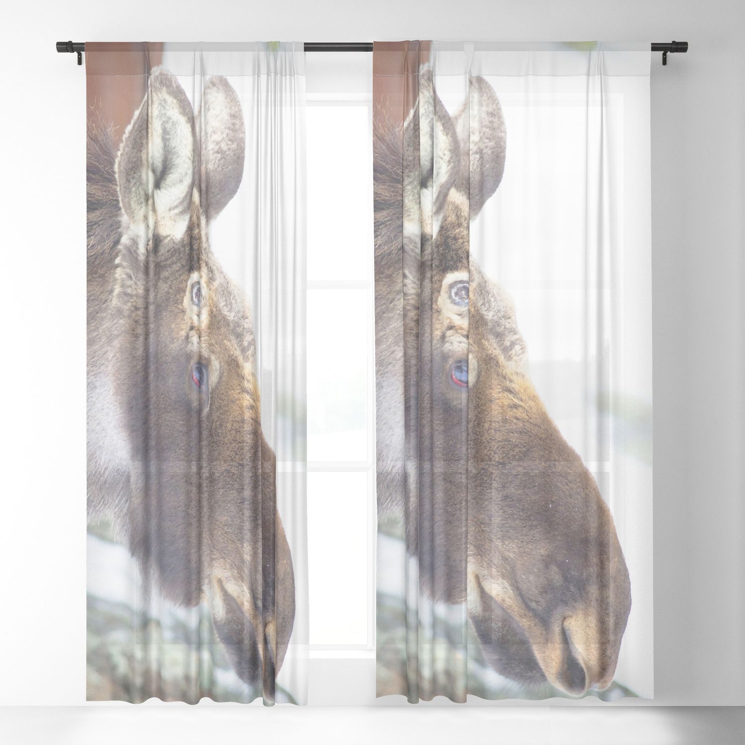 Watercolor Moose Bull 01, Winter Shed Sheer Curtaincarlsonimagery4u For The Gray Barn Kind Koala Curtain Panel Pairs (Photo 22 of 30)
