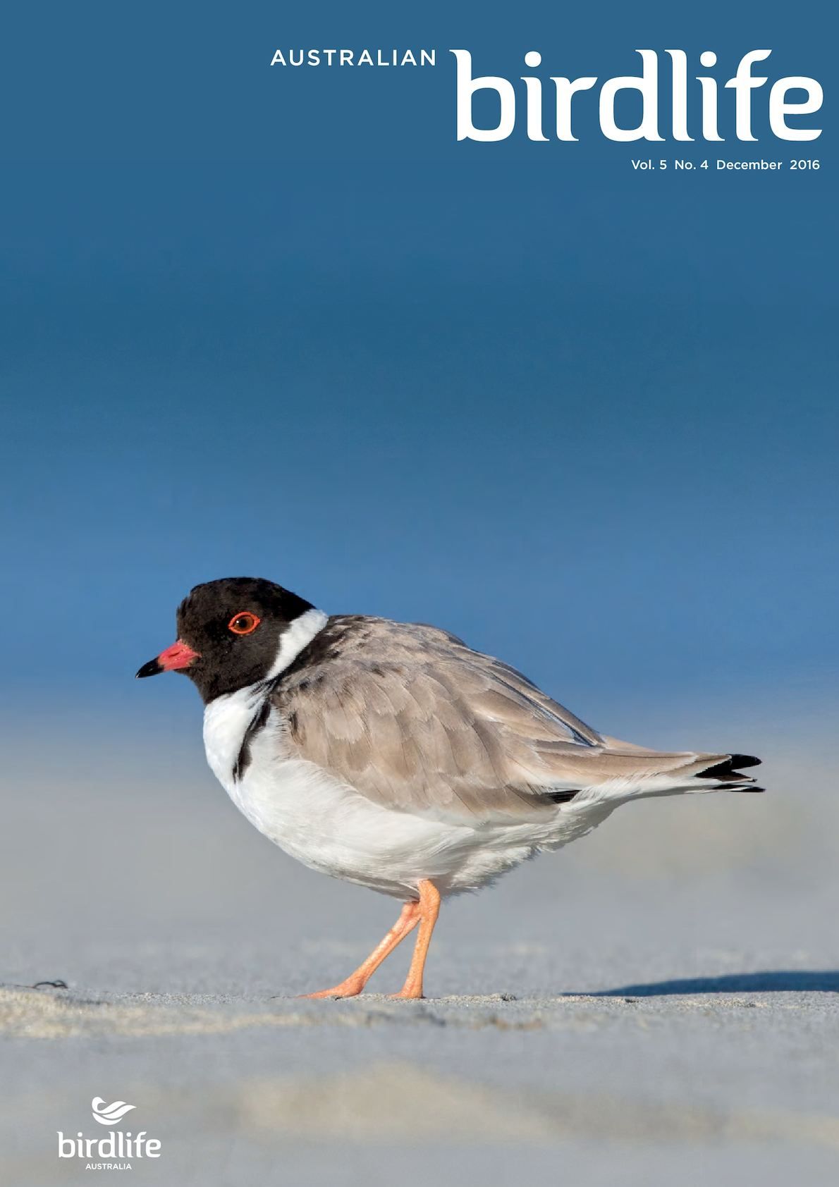 Calaméo – Australian Birdlife December 2016 With Regard To Flinders Forge 30 Inch Tiers In Dove Grey (View 17 of 20)