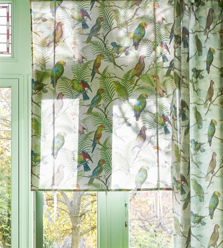 Parrot Aviary – Sky Blue Fabric | Picture Book Ii | John Derian With Regard To Aviary Window Curtains (View 13 of 20)