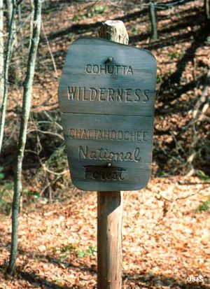 Cohutta Wilderness | National Wilderness Areas With Regard To Cohutta Armchairs (View 18 of 20)