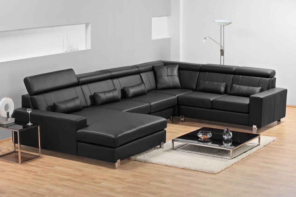 20 Types Of Sofas & Couches Explained (with Pictures) Pertaining To Felton Modern Style Pullout Sleeper Sofas Black (View 2 of 15)
