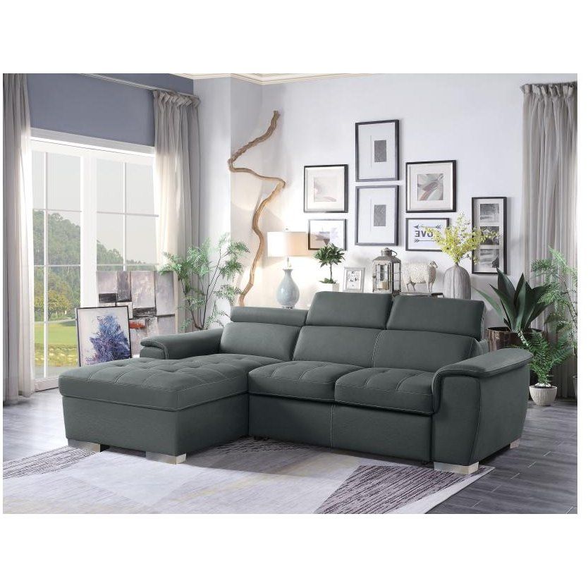 Gray Sectional Sofa With Pullout Sofa Bed And Left Side For Palisades Reclining Sectional Sofas With Left Storage Chaise (View 13 of 15)