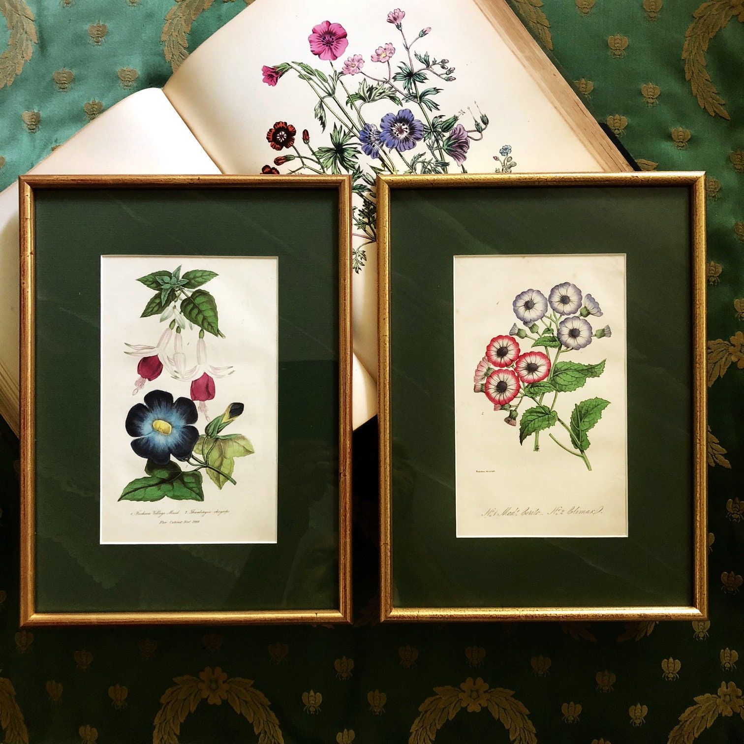 Antique British Botanical Prints, A Fabulous Pair Of Pertaining To Lines Framed Art Prints (View 3 of 15)