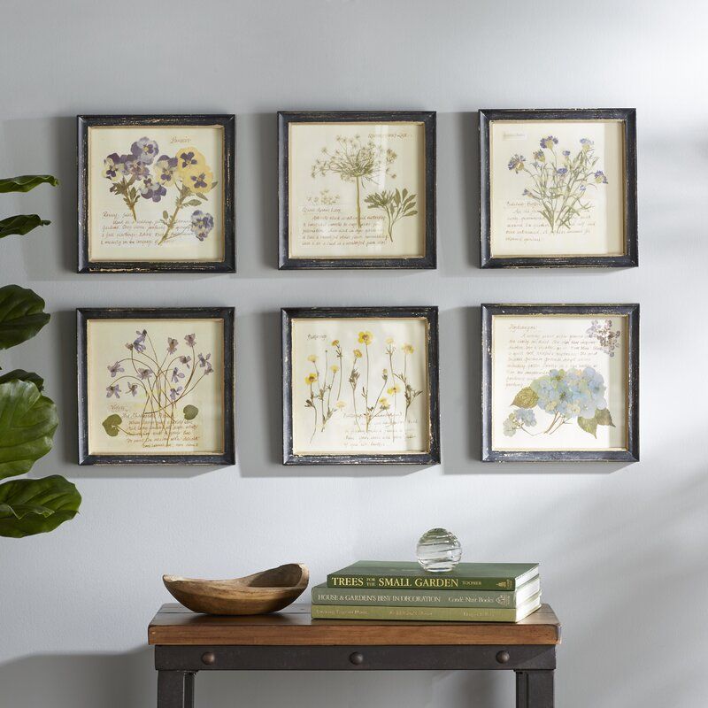Birch Lane™ Pressed Flowers Framed Graphic Art Print Regarding Flower Framed Art Prints (View 3 of 15)