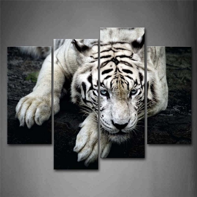 Black And White White Tiger Lie On Rock Wall Art Painting In Tiger Wall Art (View 12 of 15)