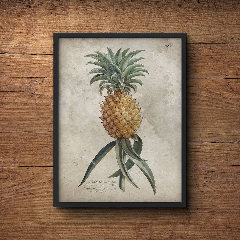 Botanical Print Set Of 3 Framed Art Tropical Prints Palm Inside Tropical Framed Art Prints (View 4 of 15)