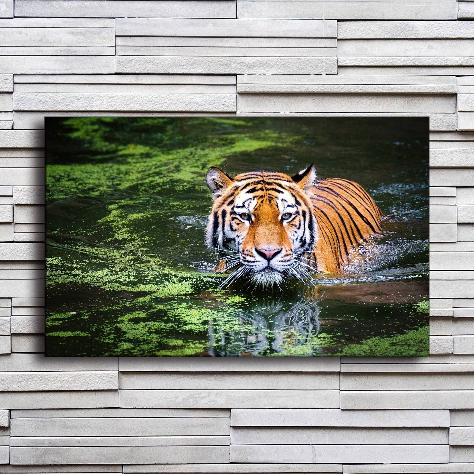 Brand New Canvas Prints Painting Living Room Wall Art 1 For Tiger Wall Art (View 6 of 15)