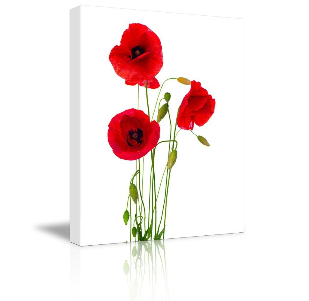Canvas Prints Wall Art – Red Poppy Flowers Against White Intended For Flowers Wall Art (View 13 of 15)