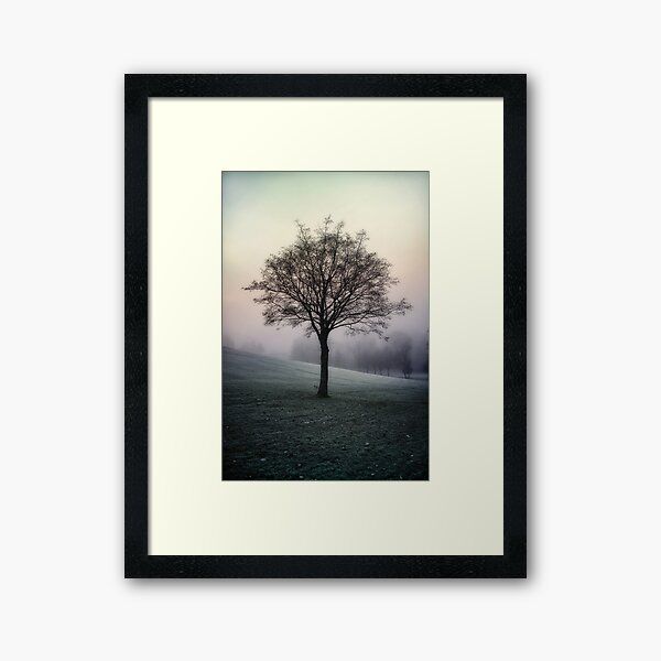 Clydebank Framed Prints | Redbubble In Dragon Tree Framed Art Prints (View 6 of 15)