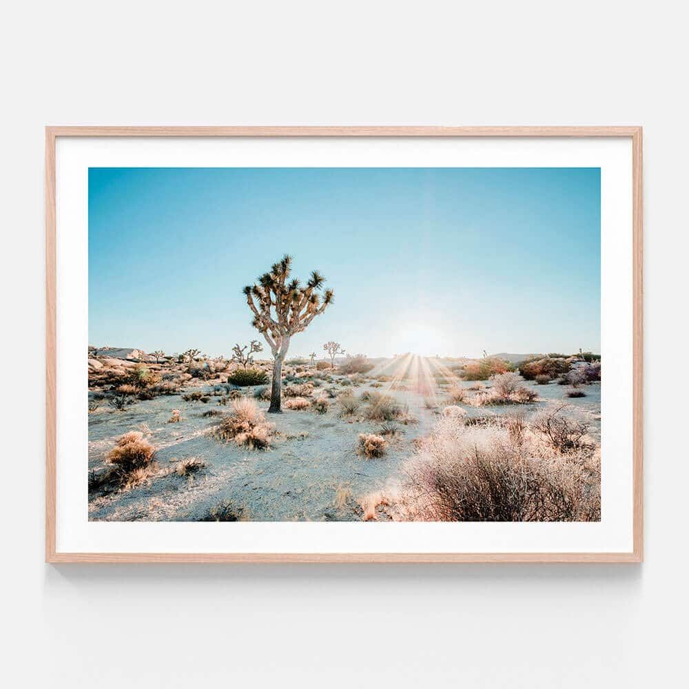 Desert Sunburst | Framed Print Or Canvas Wall Art | 41 Orchard Pertaining To Desert Inn Framed Art Prints (View 5 of 15)