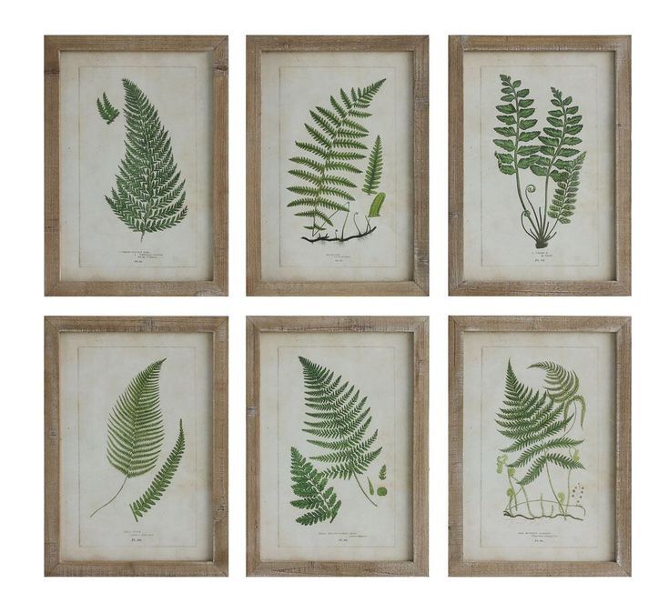 Farmhouse Botanical Prints In 2020 | Framed Botanical In Colorful Framed Art Prints (View 7 of 15)