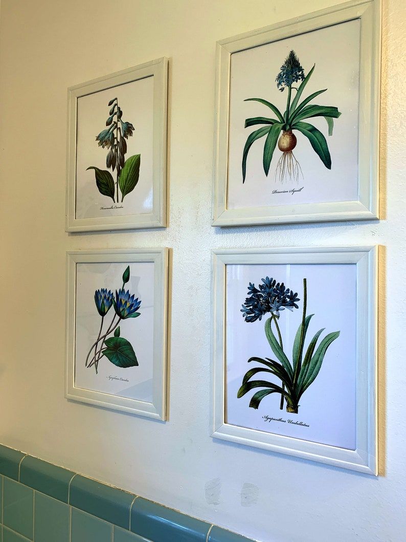 Framed Set Of 4 Blue Botanical Print Set Redoute Botanical Inside Minimalism Framed Art Prints (View 3 of 15)