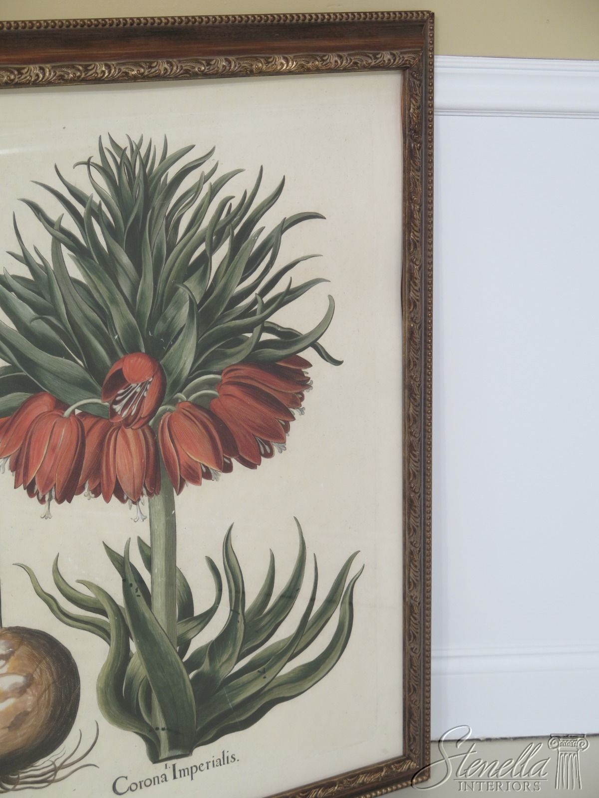 Lf31570ec: Pair Large Framed Botanical Decorative Art In Colorful Framed Art Prints (View 4 of 15)