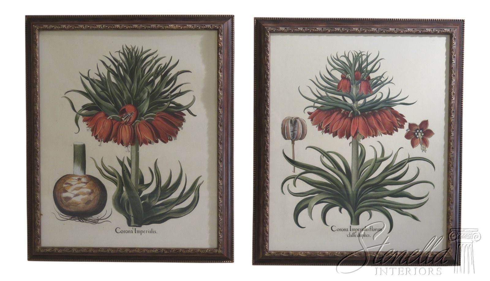 Lf31570ec: Pair Large Framed Botanical Decorative Art Within Colorful Framed Art Prints (Photo 2 of 15)
