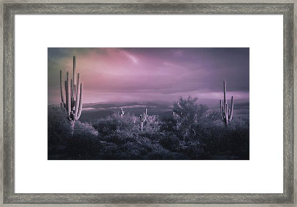 Monochromatic Desert Framed Printsaija Lehtonen In Desert Inn Framed Art Prints (View 3 of 15)