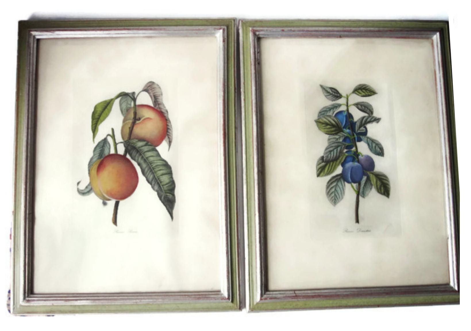 Pair Botanical Framed Lithographs/two Antique Italian Inside Italy Framed Art Prints (View 5 of 15)
