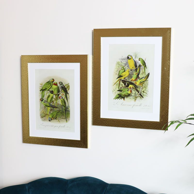 Pair Of Wall Mounted Gold Framed Tropical Bird Prints Inside Tropical Framed Art Prints (View 5 of 15)