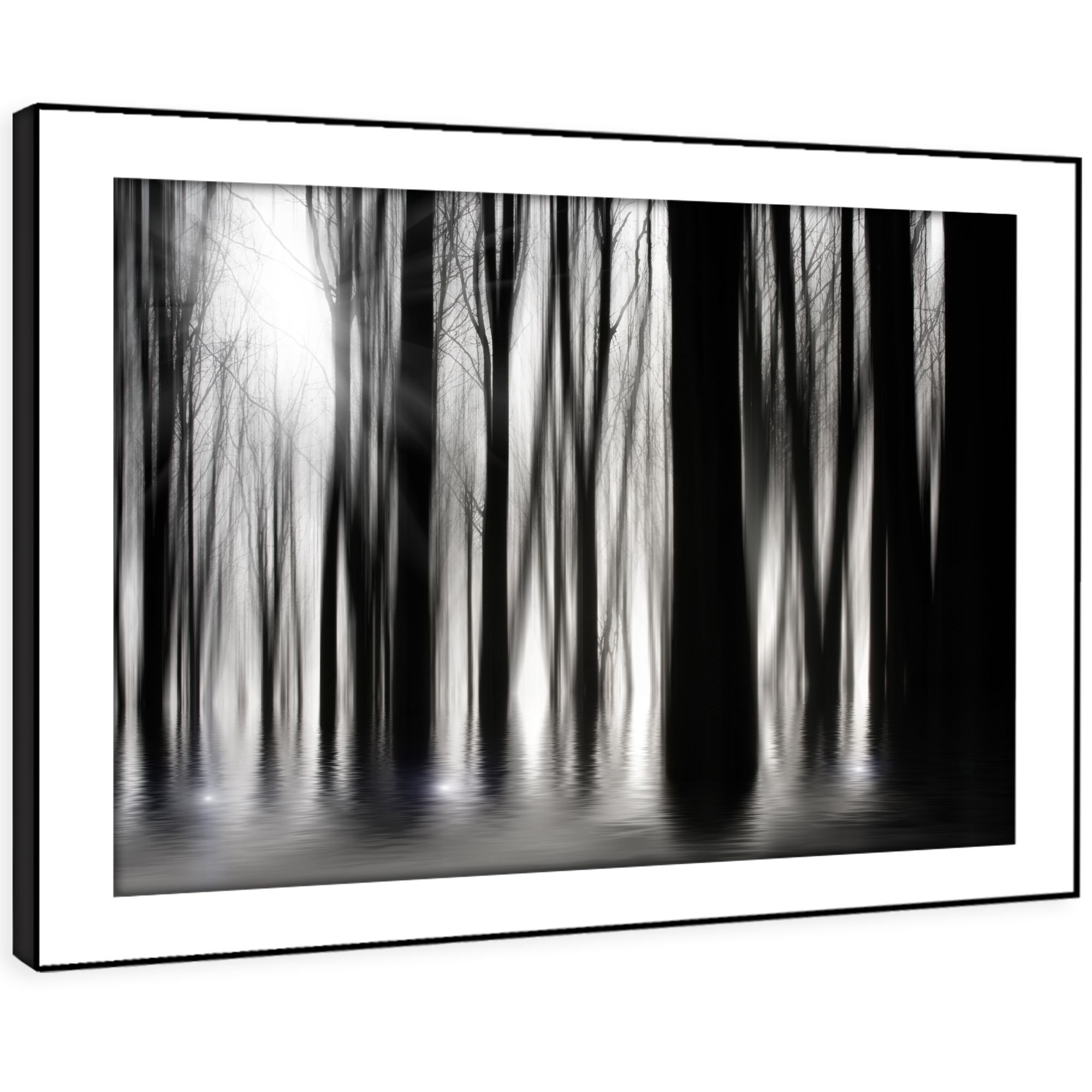 Sc348 Black White Trees Nature Landscape Framed Wall Art Regarding Natural Framed Art Prints (View 7 of 15)