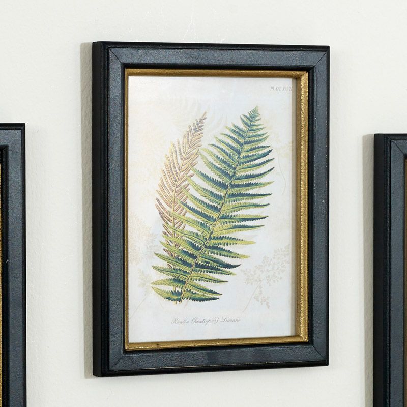 Set Of 3 Framed Fern Wall Prints – Windsor Browne Within Colorful Framed Art Prints (View 5 of 15)