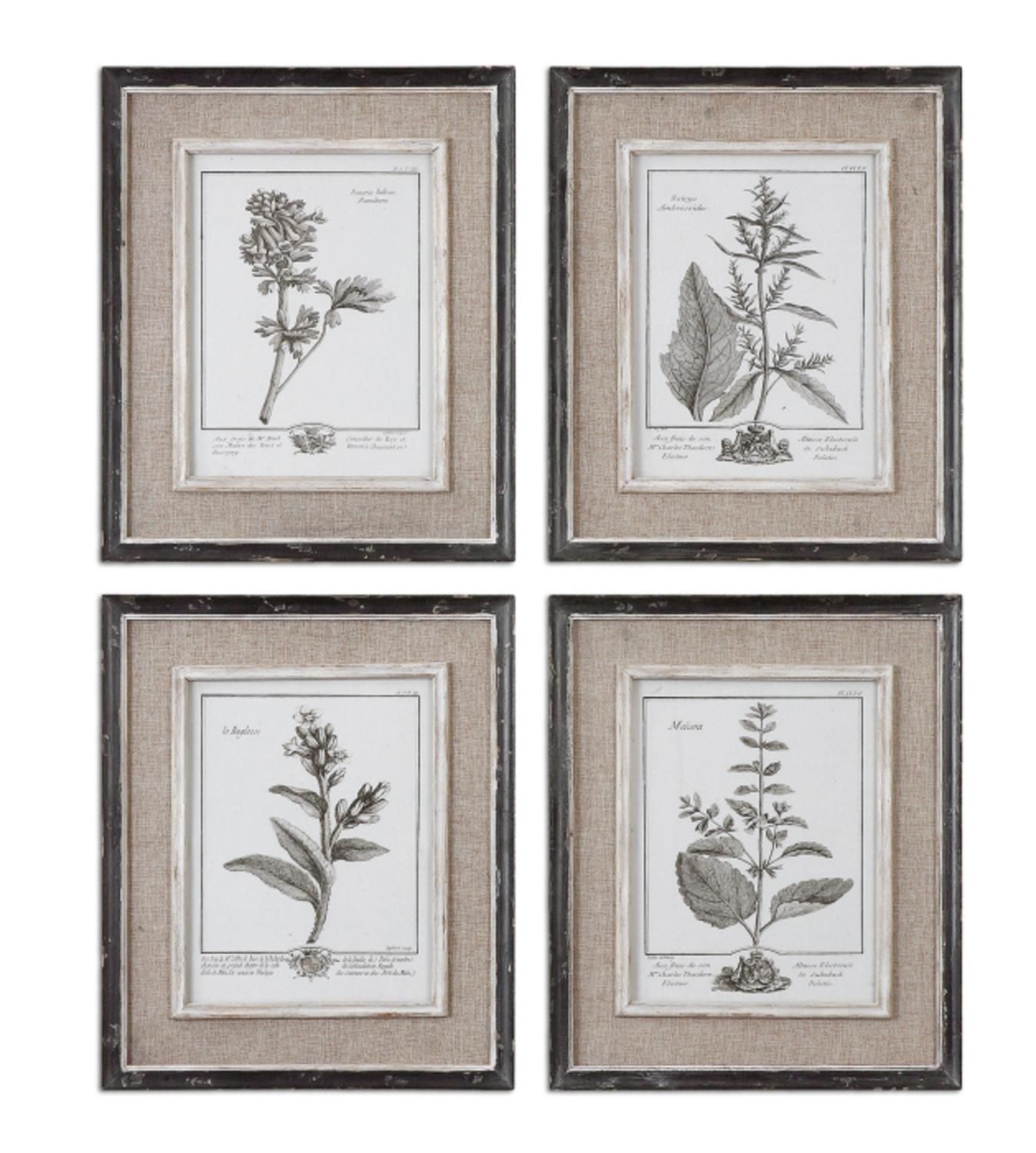 Set Of 4 Framed Gray Botanical Flower Study Prints Wall With Regard To Colorful Framed Art Prints (Photo 3 of 15)