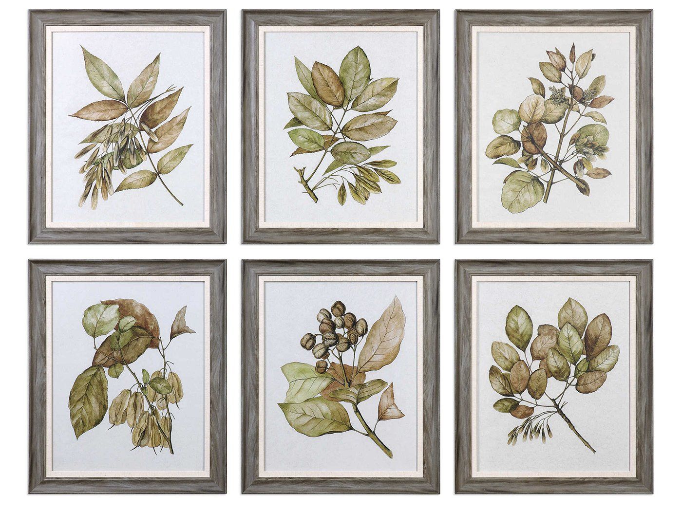 Set Of 6 Botanical Framed Prints 20"w X 24"h | Steinhafels In Colorful Framed Art Prints (View 6 of 15)