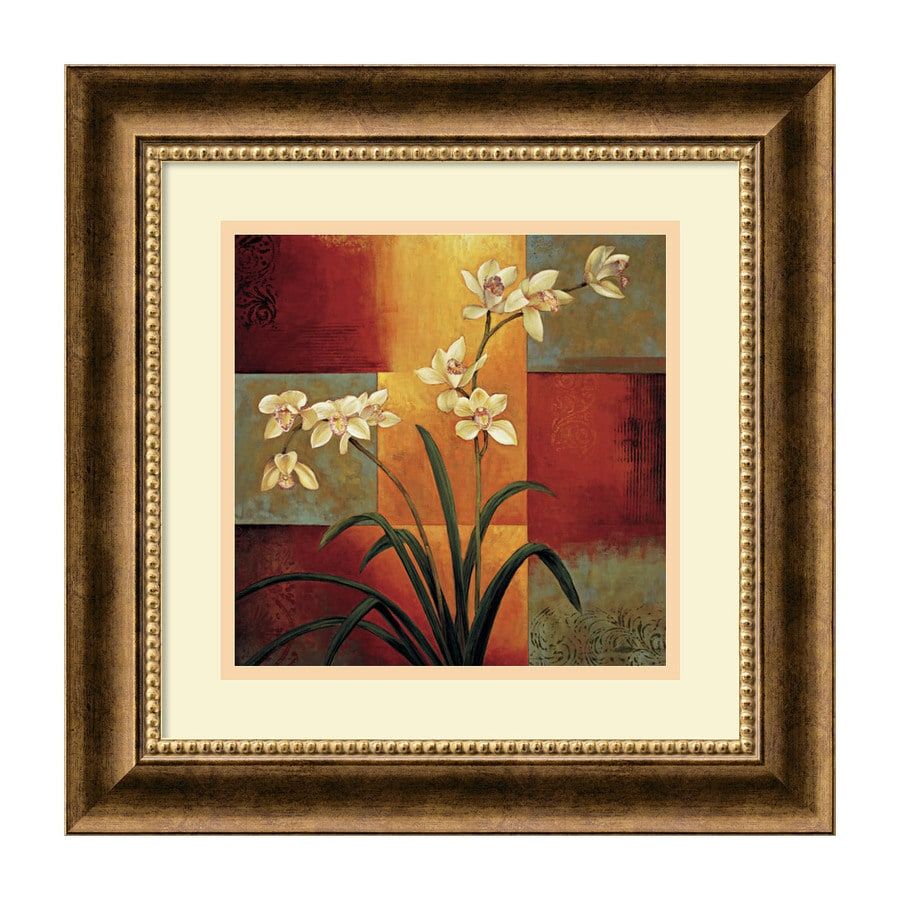 Shop Amanti Art Framed White Orchid Paper Print At Lowes Throughout Lines Framed Art Prints (View 2 of 15)