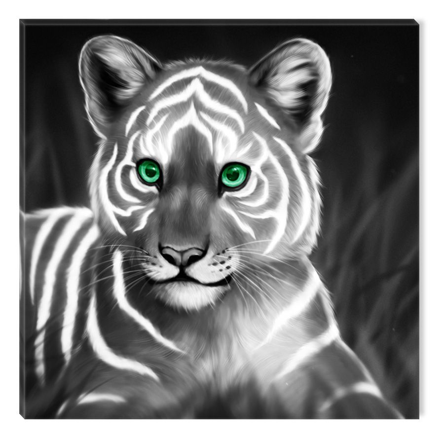 Startonight Canvas Wall Art Black And White Abstract Tiger Inside Tiger Wall Art (View 14 of 15)