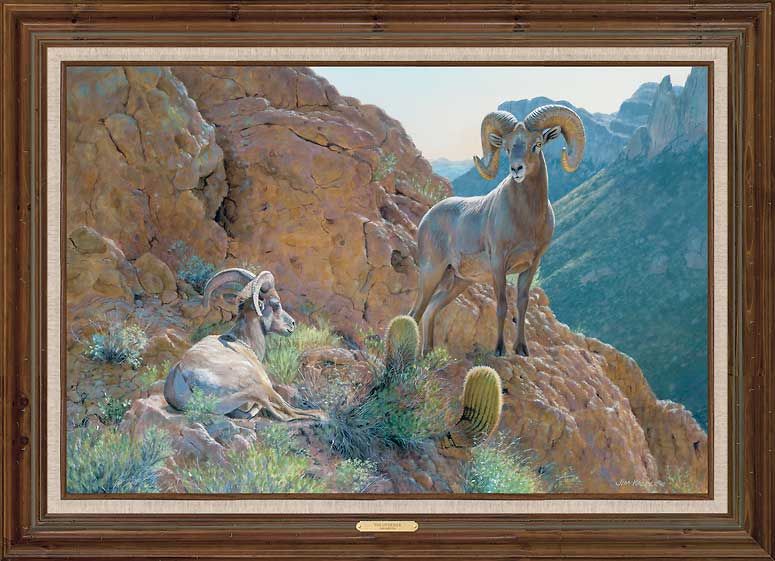 The Overseer Desert Bighorn Sheep Framed Canvas Giclee Art In Desert Inn Framed Art Prints (View 6 of 15)