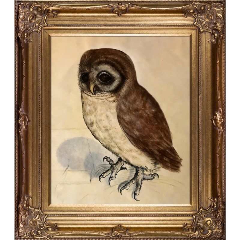 Vault W Artwork 'the Little Owl'albrecht Durer Intended For The Owl Framed Art Prints (View 12 of 15)