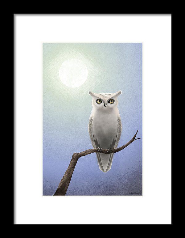 White Owl Framed Printapril Moen | White Owl, Framed Intended For The Owl Framed Art Prints (View 7 of 15)