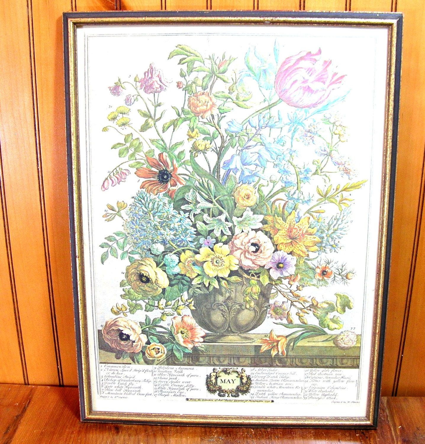 Williamsburg Flower Of The Month Print May Framed Vintage Inside Flower Framed Art Prints (View 11 of 15)