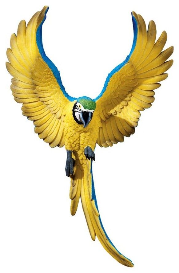 Phineas The Flapping Macaw Plaque – Tropical – Wall Sculptures – In Phineas Wall Mirrors (View 15 of 15)