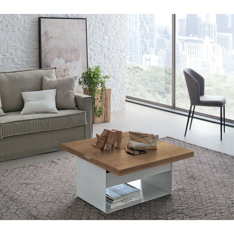 Yumanmod Malibu Lift Top Floor Shelf Coffee Table With Storage & Reviews |  Wayfair For Lift Top Coffee Tables (View 10 of 15)