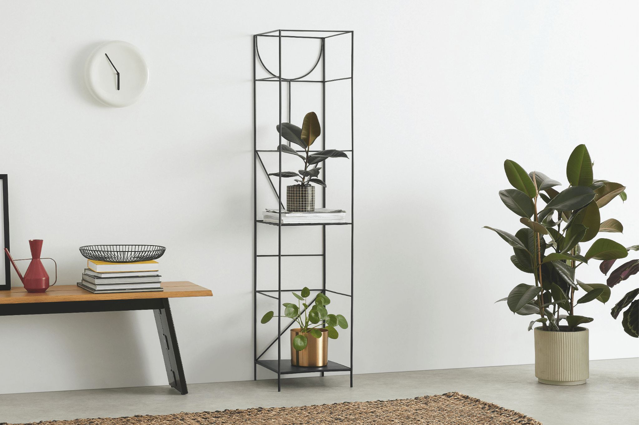 10 Of The Best Indoor Plant Stands | Bbc Gardeners World Magazine Within 14 Inch Plant Stands (View 11 of 15)