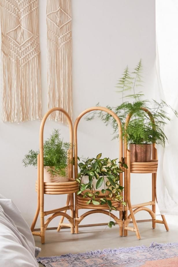 12 Best Plant Stands 2022 | Hgtv For Indoor Plant Stands (View 13 of 15)